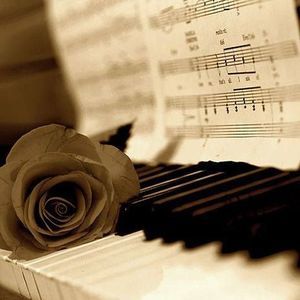 Meet your Posher, Fredrick